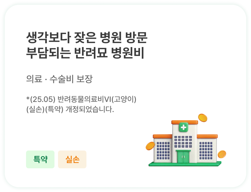 생각보다 잦은 병원 방문 부담되는 반려묘 병원비 | 의료 · 수술비 보장