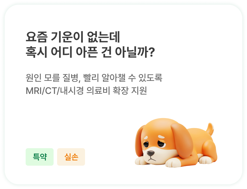 요즘 기운이 없는데 혹시 어디 아픈 건 아닐까?