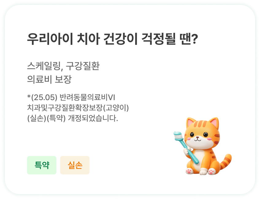 우리아이 치아 건강이 걱정될 땐? | 스케일링, 구강질환 의료비 보장