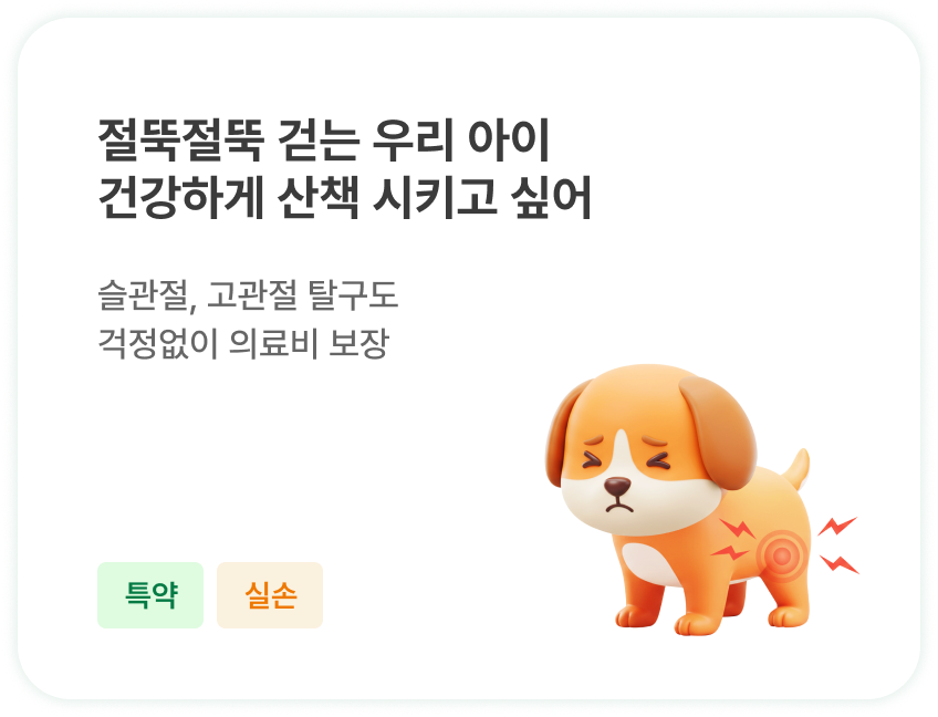 절뚝절뚝 걷는 우리 아이 건강하게 산책 시키고 싶어