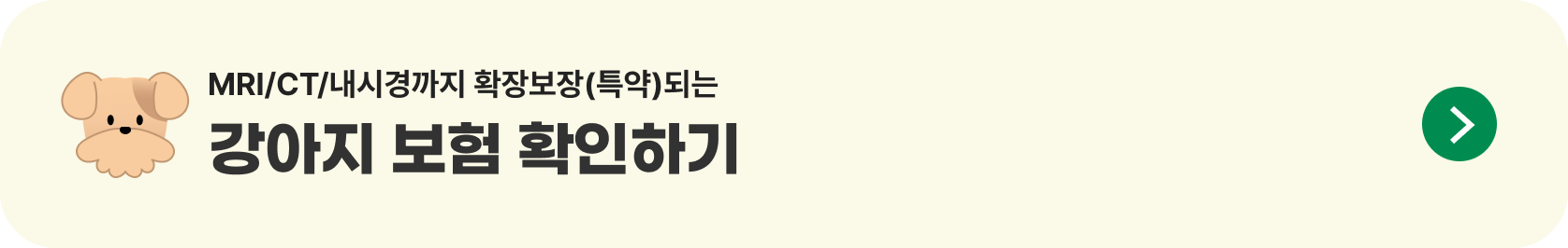 MRI/CT/내시경까지 확장보장(특약)되는 강아지 보험 확인하기