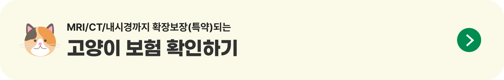 MRI/CT/내시경까지 확장보장(특약)되는 고양이 보험 확인하기